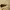 Mango Women Sunglasses Sara  All Black 57074023 photo 5