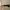 Mango Women Sunglasses Sara  All Black 57074023 photo 3