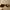 Mango Women Sunglasses Sara  All Black 57074023 photo 2