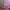 milkmaid floral pink top photo 5