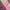 milkmaid floral pink top photo 4