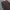 "OOTJ" Corduroy Super Baggy Ballon Dark Brown  photo 4
