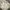 white ruffle bow babydoll milkmaid top photo 2