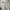 white ruffle bow babydoll milkmaid top photo 6