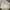 white ruffle bow babydoll milkmaid top photo 7
