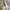 white ruffle bow babydoll milkmaid top photo 4