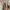 white ruffle bow babydoll milkmaid top photo 8