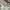 white ruffle bow babydoll milkmaid top photo 3