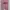 Champion Sportswear Casual Sweater Wanita Pink