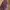 ::NEW:: GYD Hobo Premium photo 3
