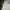 Giordano Luxury Polo shirt Pria white photo 5