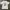 Vintage Stussy sexpistols anarchy in the uk & Mardi Tshirt photo 3