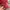 Authentic Balenciaga City Small Red Agneau Leather 2018 photo 2