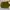tas kulit kuning selempang asli brand alra lifestyle photo 3