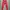 Women Nike Trail Leggings photo 3