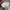 Hoodie thisisneverthat® photo 7