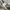 SYSTEM Outer photo 4