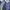 Biker Sportswear Jersey Pria navy photo 4