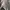 Xlarge Hoodie Sherpa Unisex Original photo 4