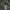 Converse All Star Olive for Outdoor Hunting Parka Jacket photo 4