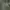 Converse All Star Olive for Outdoor Hunting Parka Jacket photo 3
