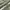 Converse All Star Olive for Outdoor Hunting Parka Jacket photo 7