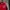 Vintage Sportswear Jersey Pria red photo 3