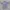 Casual Polo shirt Pria purple photo 5