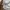 Nike Air trainer swosh medium sweatshirt photo 6