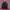Tracktop adidas superstar photo 1