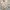 Sportswear Casual Bomber jacket Pria gold photo 5