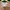 photorealistic faux real (American bikini) photo 2