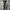 Trackpants Adidas threefoil  Sz up to 31 photo 3