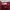 Mango Streetwear Casual Wide Leg Jeans Wanita Red