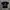 T-Shirt Palace Tri Flect photo 1