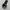 Dickies 874 / Dickies Double Knee / Celana Dickies Genuine photo 3