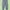 Denim Jogger Pants photo 1