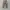 Dickies 874 / Dickies Double Knee / Celana Dickies photo 2