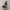 Dickies 874 / Dickies Double Knee / Celana Dickies photo 3