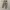 Dickies 874 / Dickies Double Knee / Celana Dickies photo 2