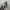 On Running On Cloud Swiss Engineering CLOUDSURFER 4 Sneakers photo 5