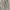 Zara 3D Multipocket Tactical Jeans photo 10
