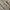 Zara 3D Multipocket Tactical Jeans photo 7