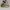 Nike AF1 low drop type summit white  photo 1