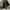 Celana jeans double knee carpenter camo second photo 5