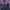 Tracktop Adidas Black Purple Korea photo 1