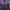 Tracktop Adidas Black Purple Korea