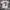 T-shirt Stussy World tour Venus photo 1