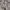 Rok Celana Mini / Pendek Putih Bersih Like New photo 4