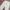 Niko and Regular Wide Fit Relaxed Pants Off White photo 7